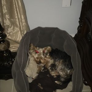 Meet your Posher, Danay